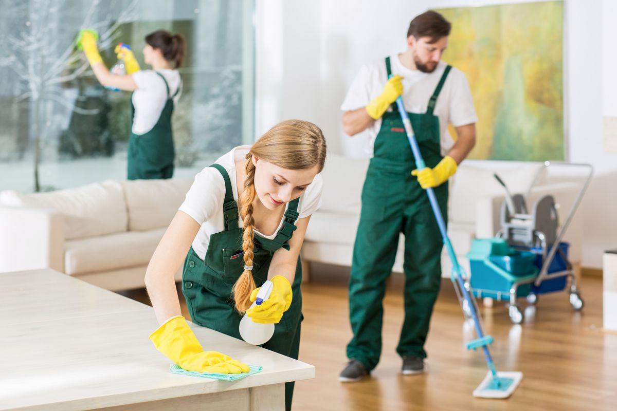 Cleaning and Sanitization Services